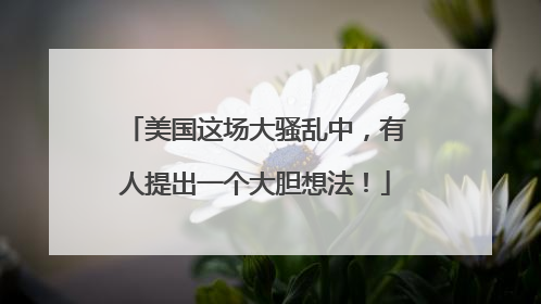 美国这场大骚乱中，有人提出一个大胆想法！