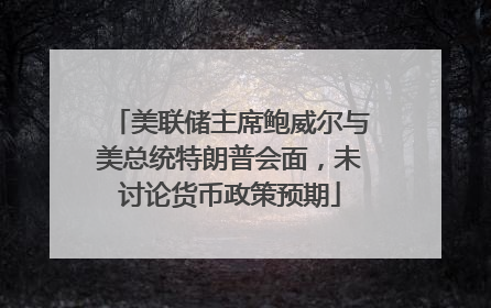 美联储主席鲍威尔与美总统特朗普会面，未讨论货币政策预期
