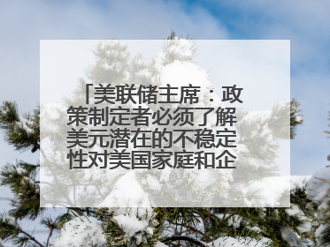 美联储主席：政策制定者必须了解美元潜在的不稳定性对美国家庭和企业的影响