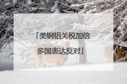 美钢铝关税加倍 多国表达反对