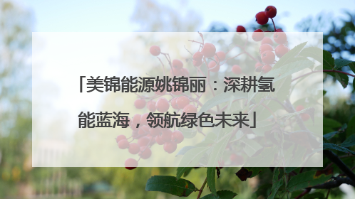 美锦能源姚锦丽：深耕氢能蓝海，领航绿色未来