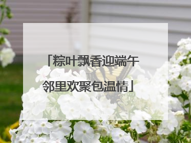 粽叶飘香迎端午 邻里欢聚包温情