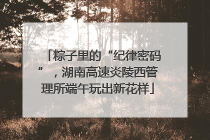 粽子里的“纪律密码”，湖南高速炎陵西管理所端午玩出新花样