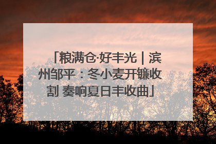 粮满仓·好丰光｜滨州邹平：冬小麦开镰收割 奏响夏日丰收曲