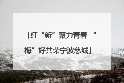 红“新”聚力青春 “梅”好共荣宁波慈城
