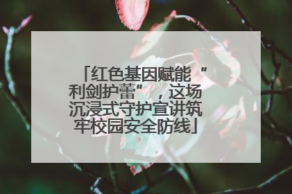 红色基因赋能“利剑护蕾”，这场沉浸式守护宣讲筑牢校园安全防线