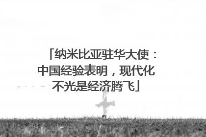 纳米比亚驻华大使：中国经验表明，现代化不光是经济腾飞
