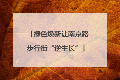 绿色焕新让南京路步行街“逆生长”