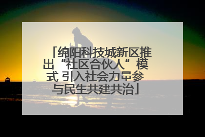 绵阳科技城新区推出“社区合伙人”模式 引入社会力量参与民生共建共治