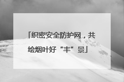 织密安全防护网，共绘烟叶好“丰”景
