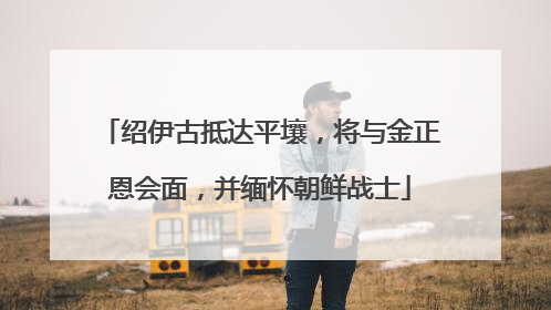绍伊古抵达平壤，将与金正恩会面，并缅怀朝鲜战士