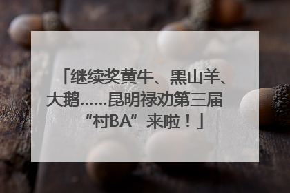 继续奖黄牛、黑山羊、大鹅……昆明禄劝第三届“村BA”来啦！