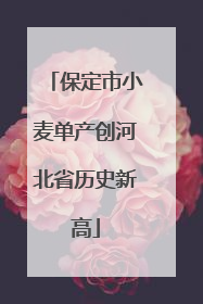 保定市小麦单产创河北省历史新高