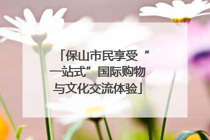 保山市民享受“一站式”国际购物与文化交流体验