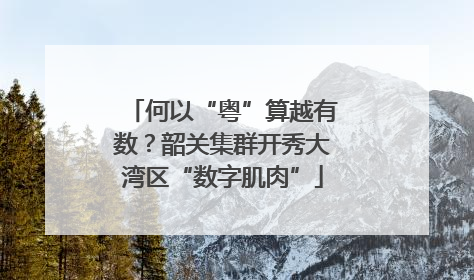 何以“粤”算越有数？韶关集群开秀大湾区“数字肌肉”