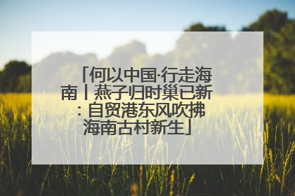 何以中国·行走海南丨燕子归时巢已新：自贸港东风吹拂 海南古村新生