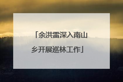 余洪雷深入南山乡开展巡林工作