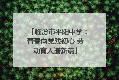 临汾市平阳中学：青春向党践初心 劳动育人谱新篇