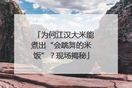 为何江汉大米能煮出“会跳舞的米饭”？现场揭秘