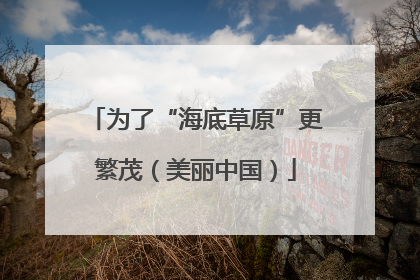 为了“海底草原”更繁茂（美丽中国）