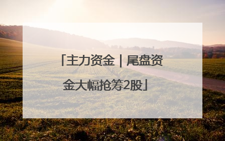 主力资金｜尾盘资金大幅抢筹2股