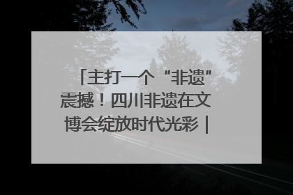 主打一个“非遗”震撼！四川非遗在文博会绽放时代光彩｜文博向“新”