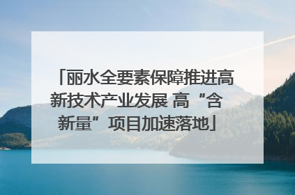 丽水全要素保障推进高新技术产业发展 高“含新量”项目加速落地