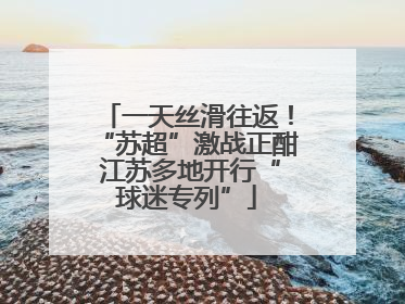 一天丝滑往返！“苏超”激战正酣 江苏多地开行“球迷专列”