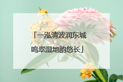 一泓清波润东城 鸣翠湿地韵悠长