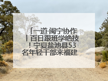 一道·闽宁协作丨百日跟班学绝技！宁夏盐池县53名年轻干部来福建取“真经”