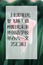 七彩阳光梦飞扬！德州阳光未来外国语学校举办六一文艺汇演