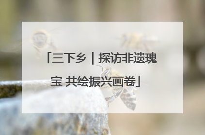三下乡｜探访非遗瑰宝 共绘振兴画卷