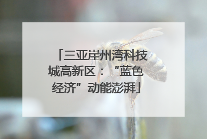 三亚崖州湾科技城高新区：“蓝色经济”动能澎湃
