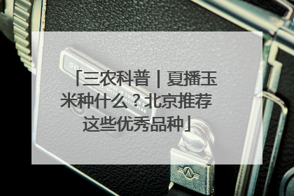 三农科普｜夏播玉米种什么？北京推荐这些优秀品种