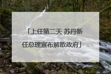 上任第二天 苏丹新任总理宣布解散政府