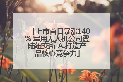 上市首日暴涨140% 军用无人机公司登陆纽交所 AI打造产品核心竞争力