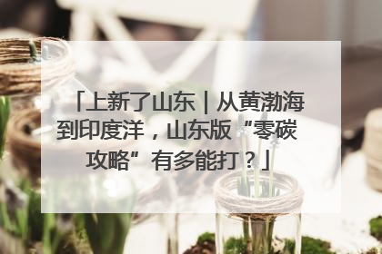 上新了山东｜从黄渤海到印度洋，山东版“零碳攻略”有多能打？