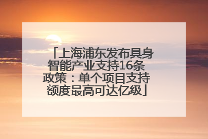 上海浦东发布具身智能产业支持16条政策：单个项目支持额度最高可达亿级