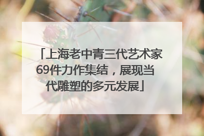 上海老中青三代艺术家69件力作集结，展现当代雕塑的多元发展