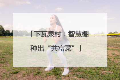 下瓦泉村：智慧棚种出“共富菜”