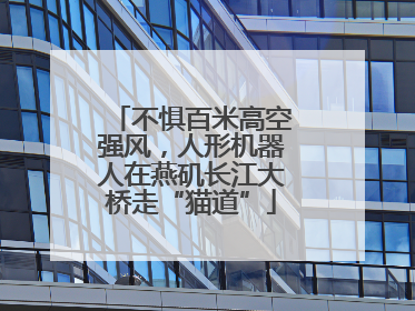 不惧百米高空强风，人形机器人在燕矶长江大桥走“猫道”