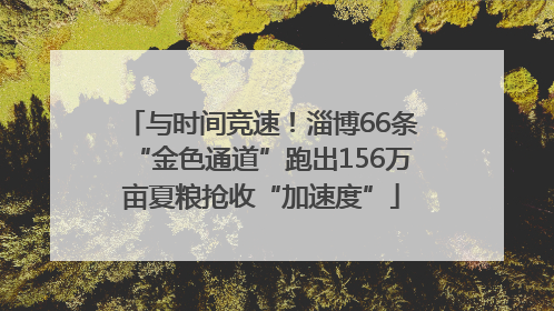 与时间竞速！淄博66条“金色通道”跑出156万亩夏粮抢收“加速度”