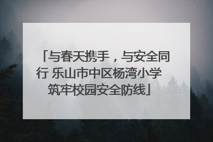 与春天携手，与安全同行 乐山市中区杨湾小学筑牢校园安全防线