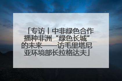专访丨中非绿色合作播种非洲“绿色长城”的未来——访毛里塔尼亚环境部长拉格达夫