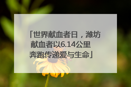 世界献血者日，潍坊献血者以6.14公里奔跑传递爱与生命