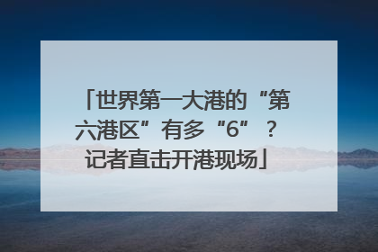 世界第一大港的“第六港区”有多“6”？记者直击开港现场