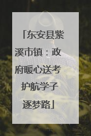 东安县紫溪市镇：政府暖心送考 护航学子逐梦路