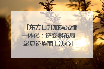 东方日升加码光储一体化：逆变器布局彰显逆势而上决心