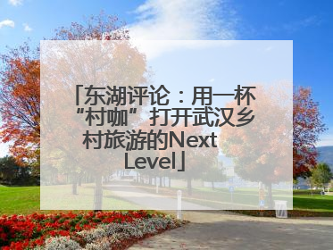 东湖评论：用一杯“村咖”打开武汉乡村旅游的Next Level