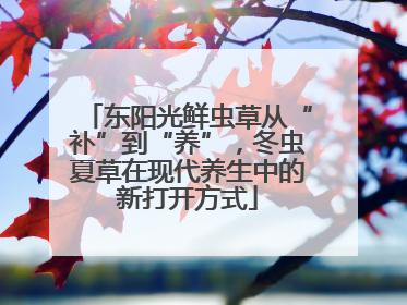 东阳光鲜虫草从“补”到“养”，冬虫夏草在现代养生中的新打开方式